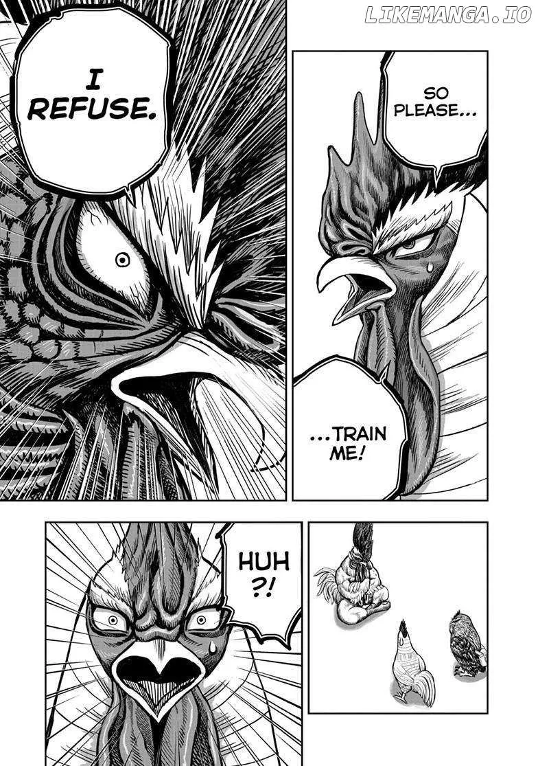 Read Rooster Fighter EN Manga Online