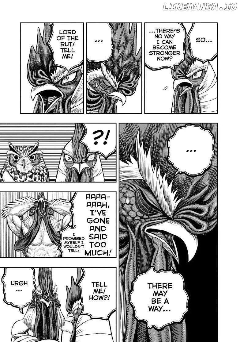 Read Rooster Fighter EN Manga Online