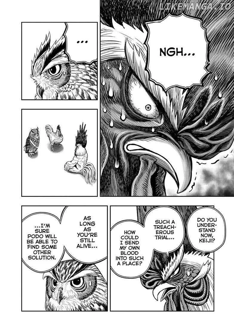 Read Rooster Fighter EN Manga Online