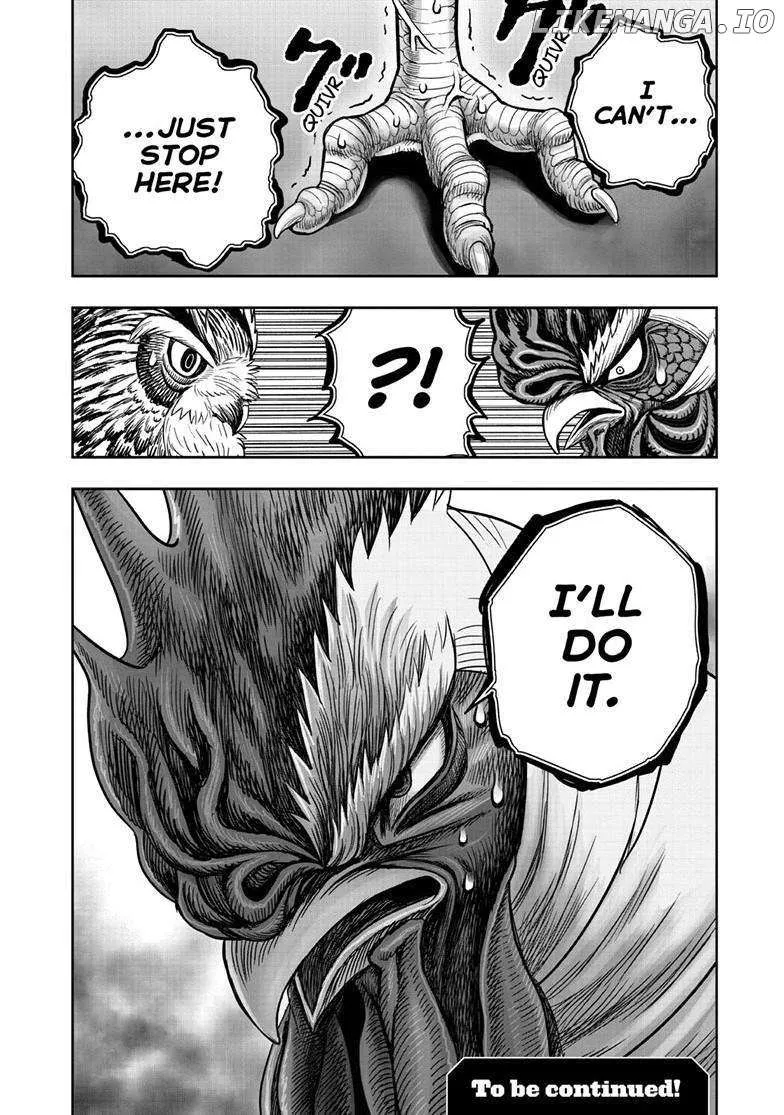 Read Rooster Fighter EN Manga Online