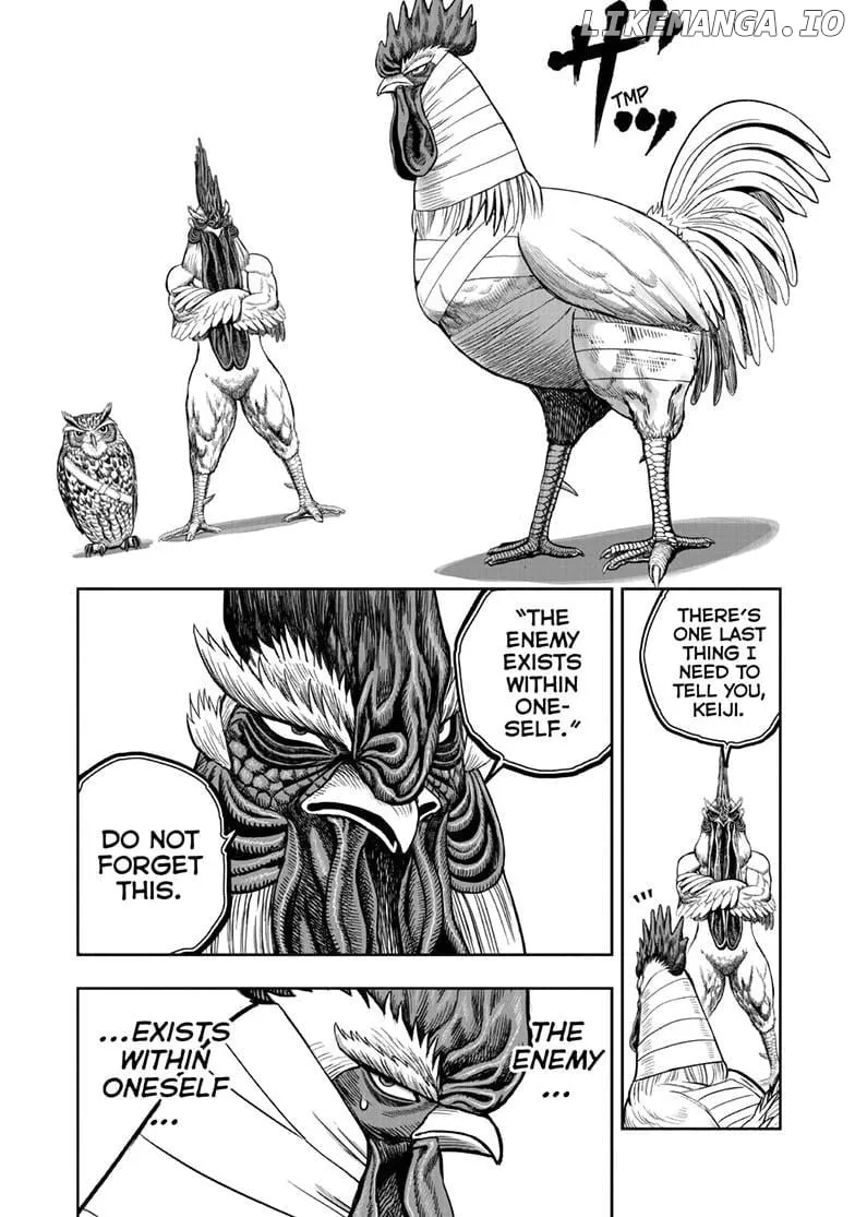 Read Rooster Fighter EN Manga Online