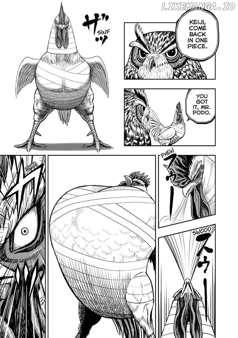Read Rooster Fighter EN Manga Online
