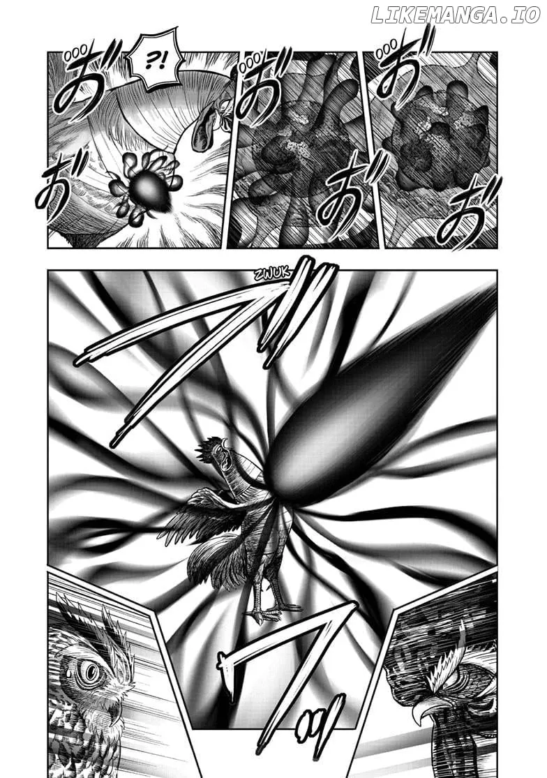 Read Rooster Fighter EN Manga Online