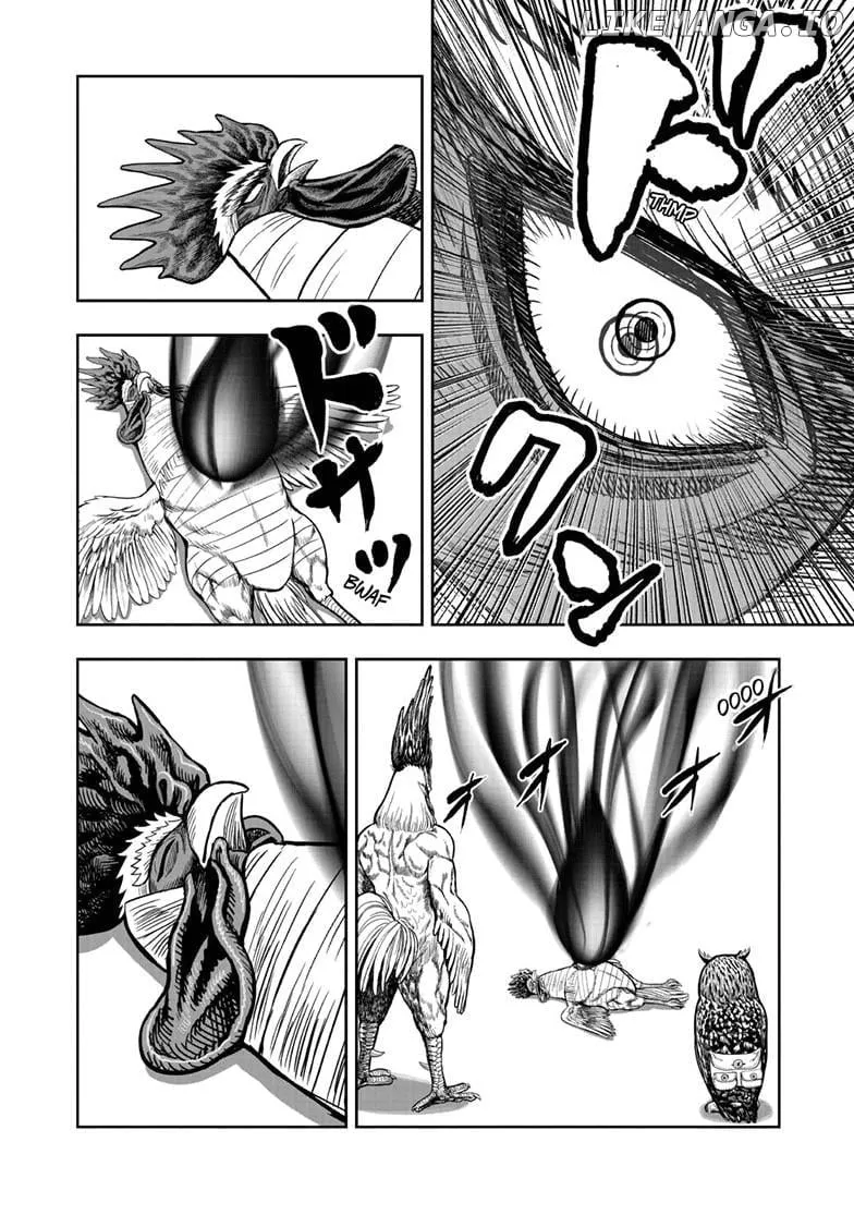Read Rooster Fighter EN Manga Online