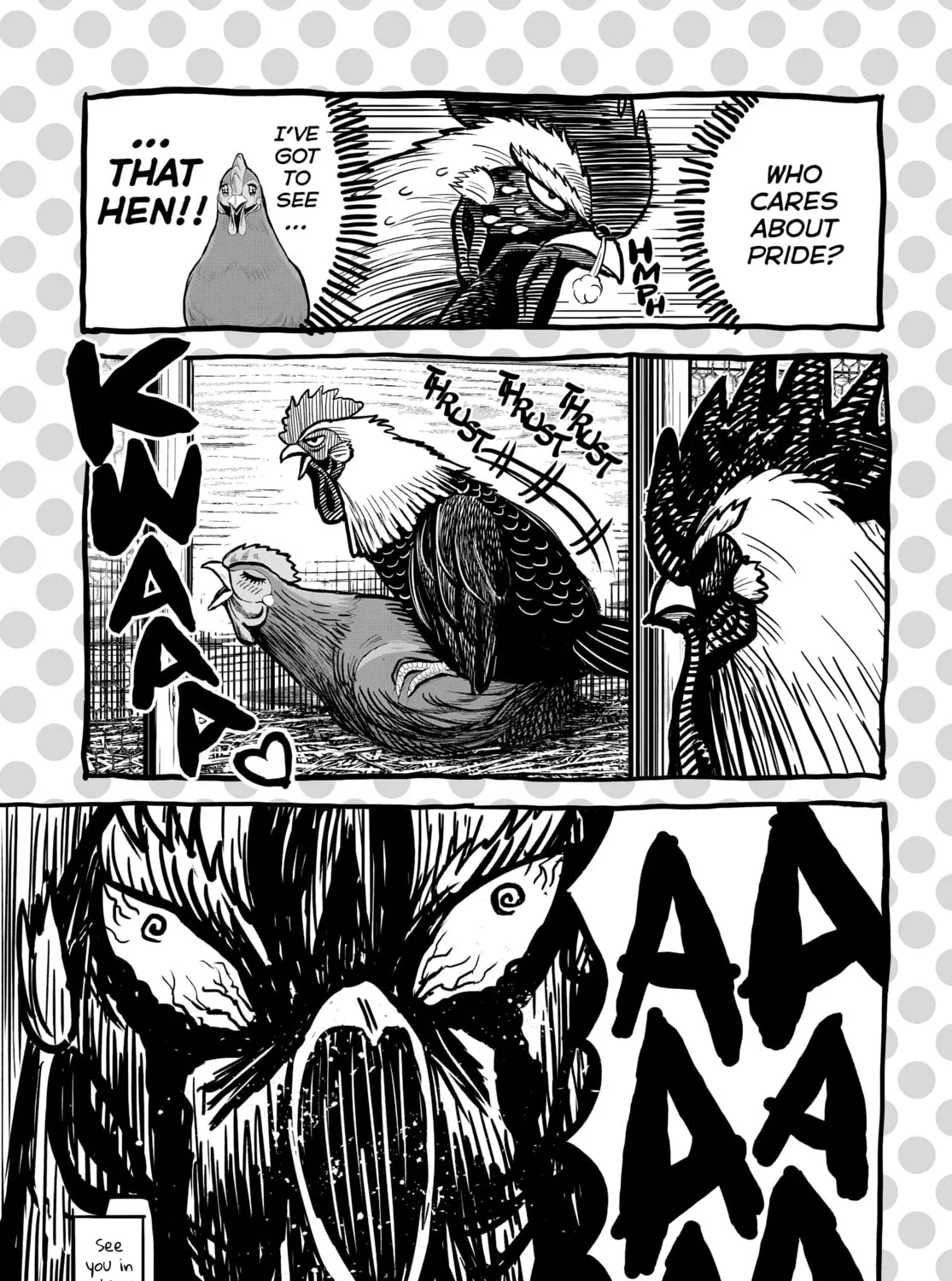 Read Rooster Fighter EN Manga Online