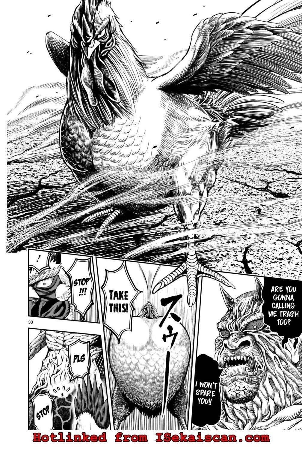 Read Rooster Fighter EN Manga Online