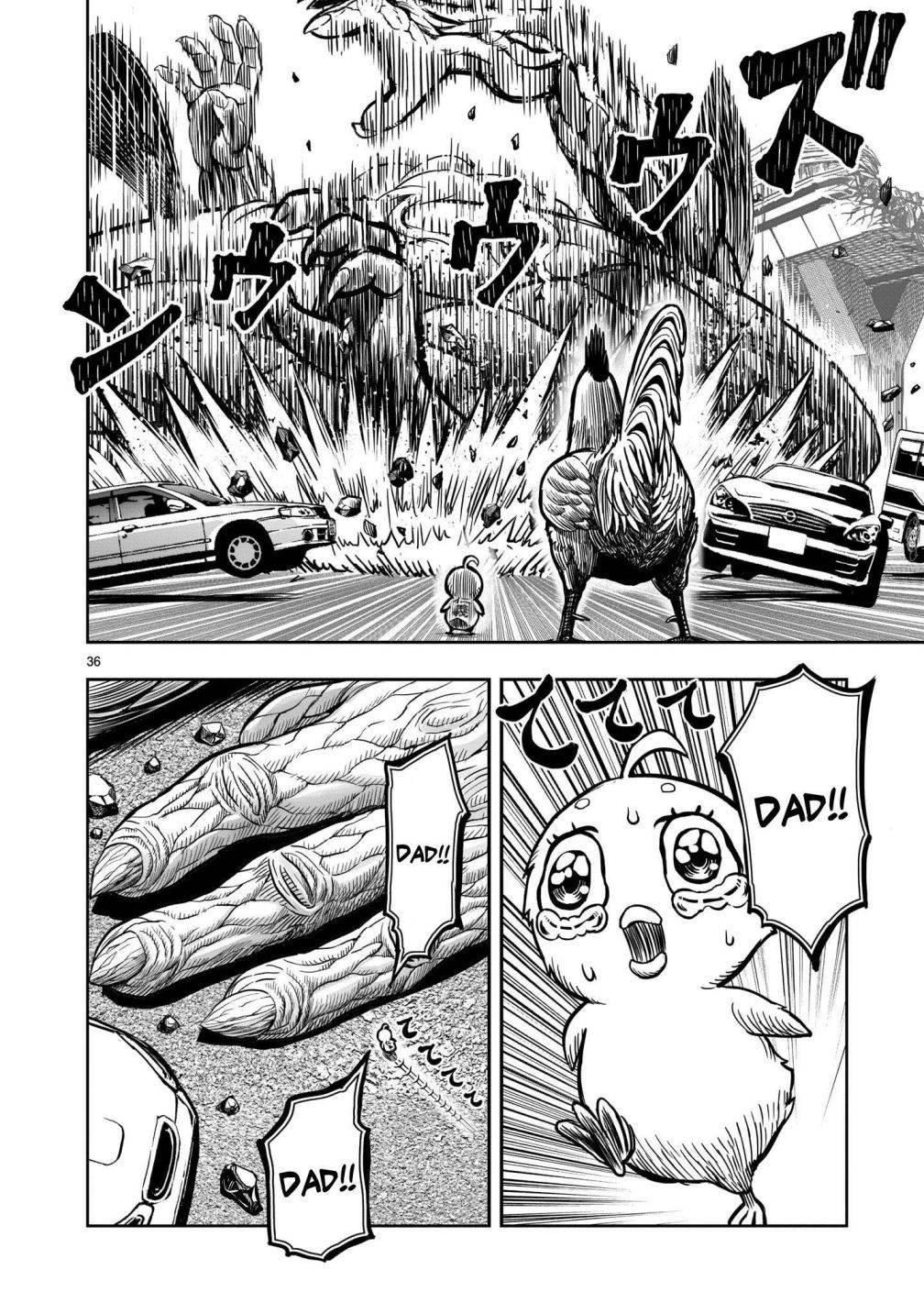 Read Rooster Fighter EN Manga Online
