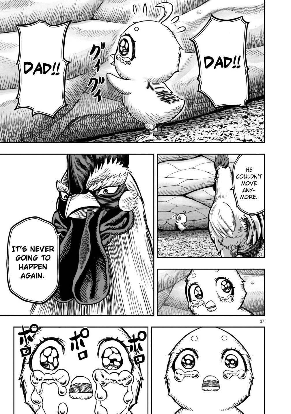 Read Rooster Fighter EN Manga Online
