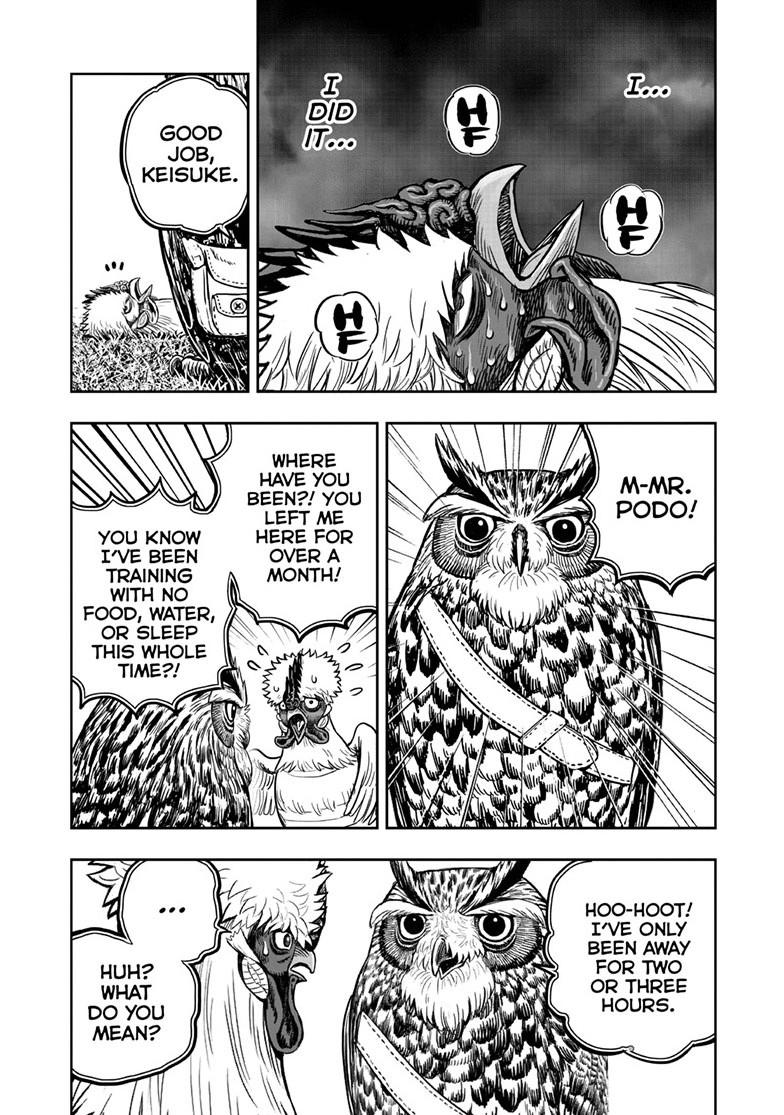 Read Rooster Fighter EN Manga Online