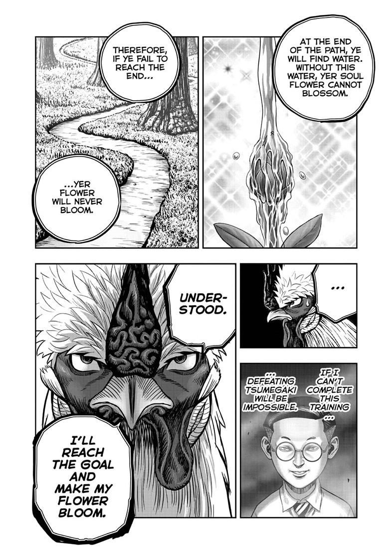Read Rooster Fighter EN Manga Online