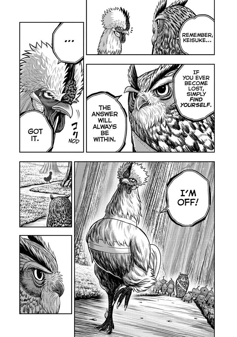 Read Rooster Fighter EN Manga Online