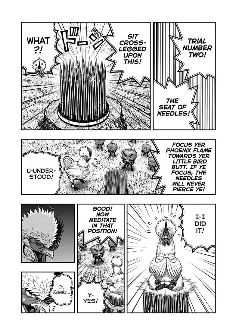 Read Rooster Fighter EN Manga Online
