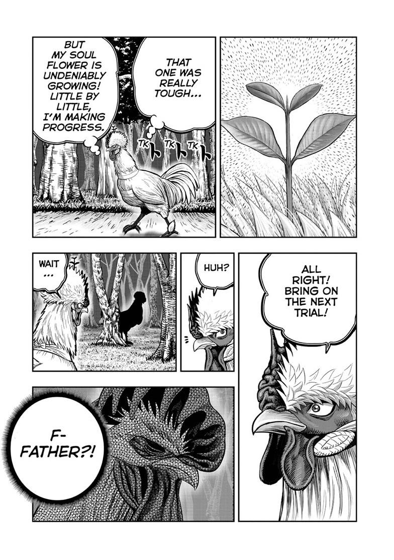 Read Rooster Fighter EN Manga Online
