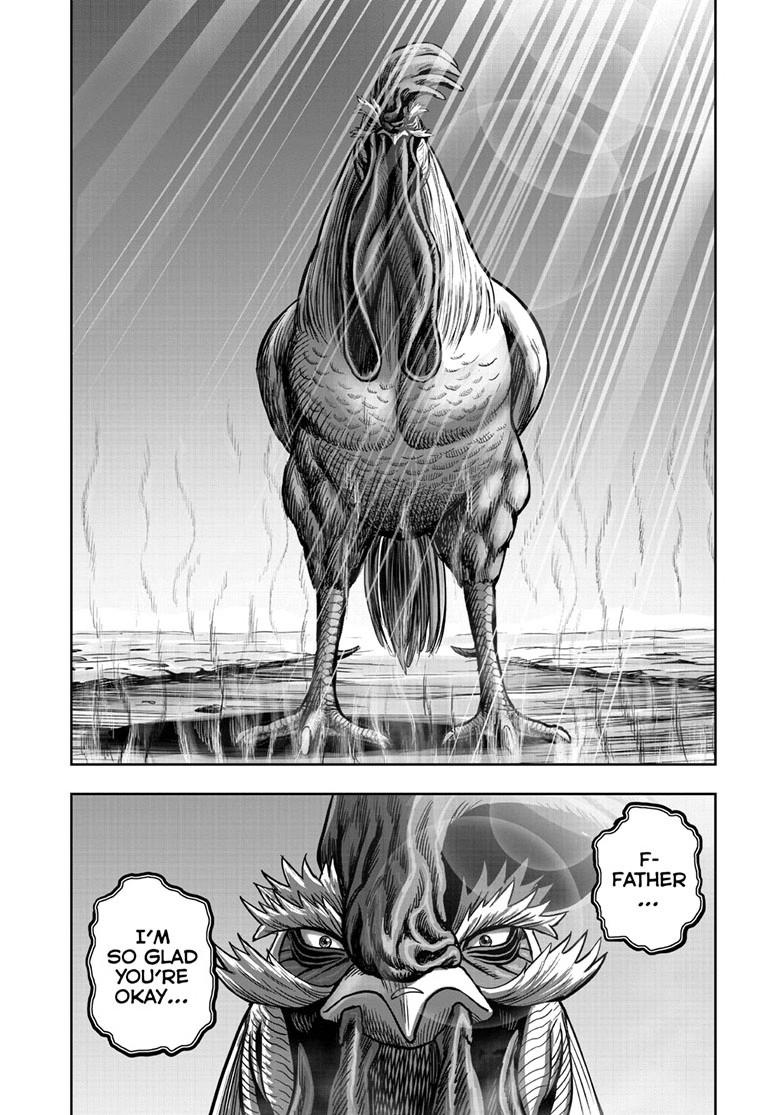 Read Rooster Fighter EN Manga Online