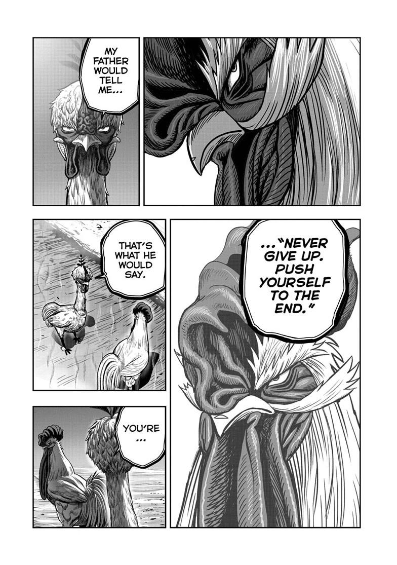 Read Rooster Fighter EN Manga Online