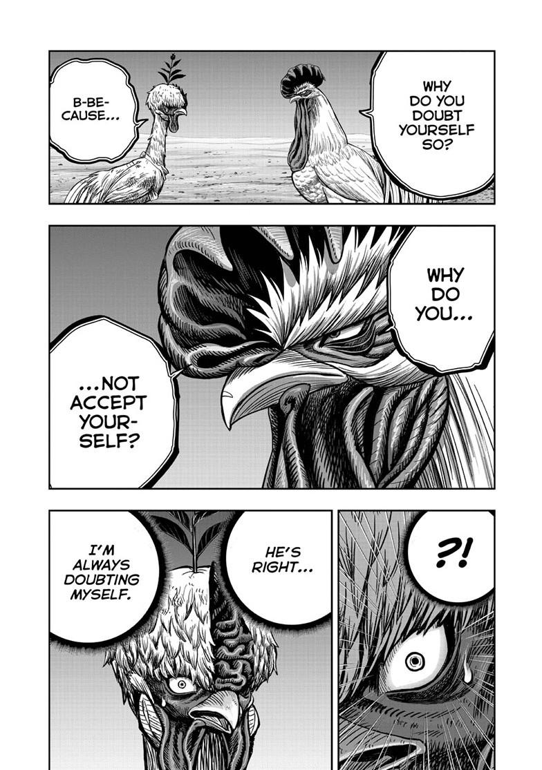 Read Rooster Fighter EN Manga Online