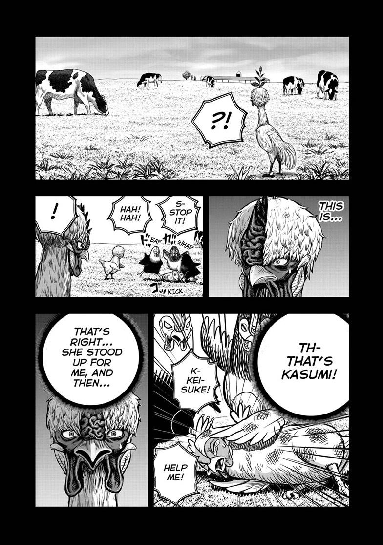 Read Rooster Fighter EN Manga Online