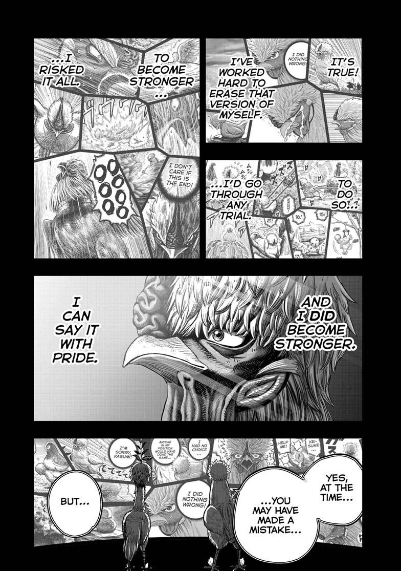 Read Rooster Fighter EN Manga Online