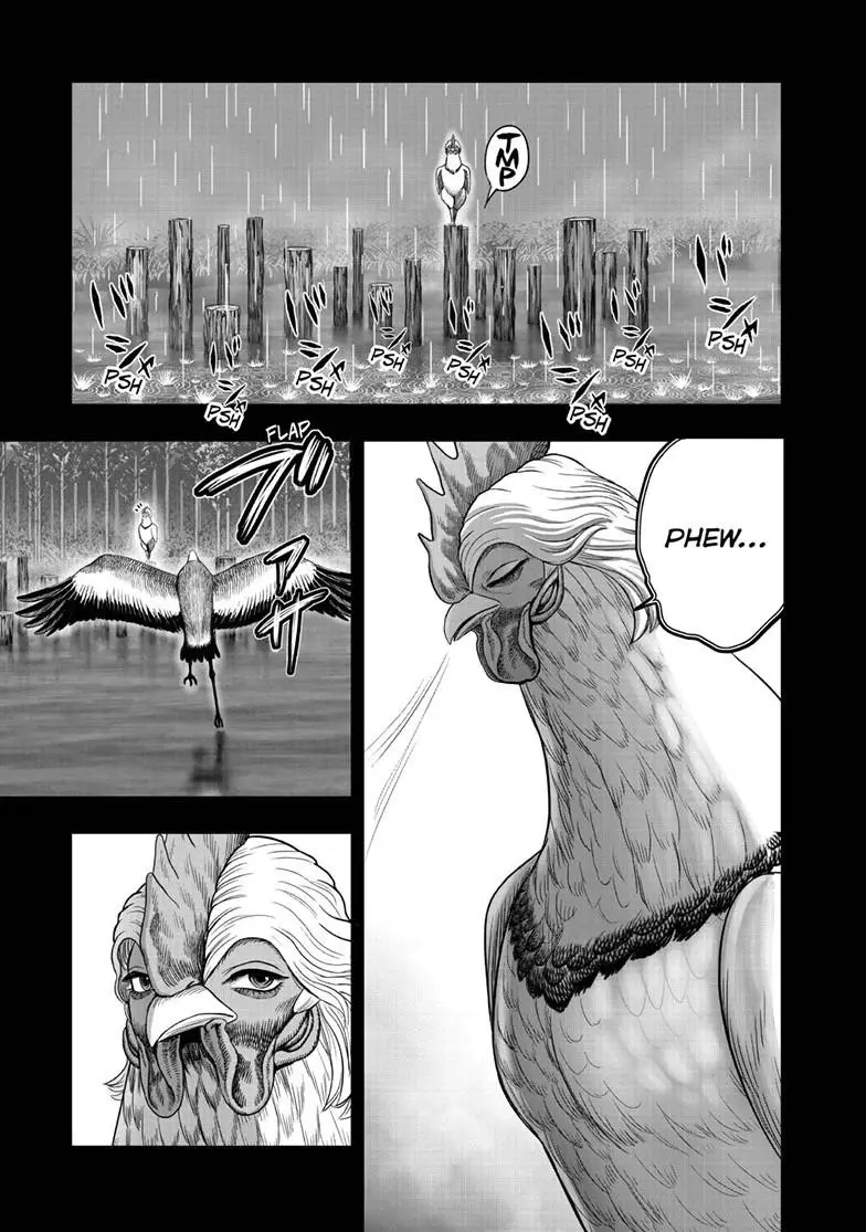 Read Rooster Fighter EN Manga Online