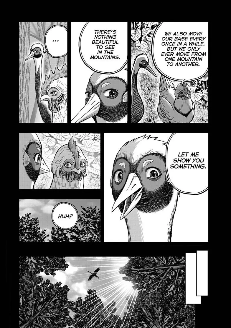 Read Rooster Fighter EN Manga Online