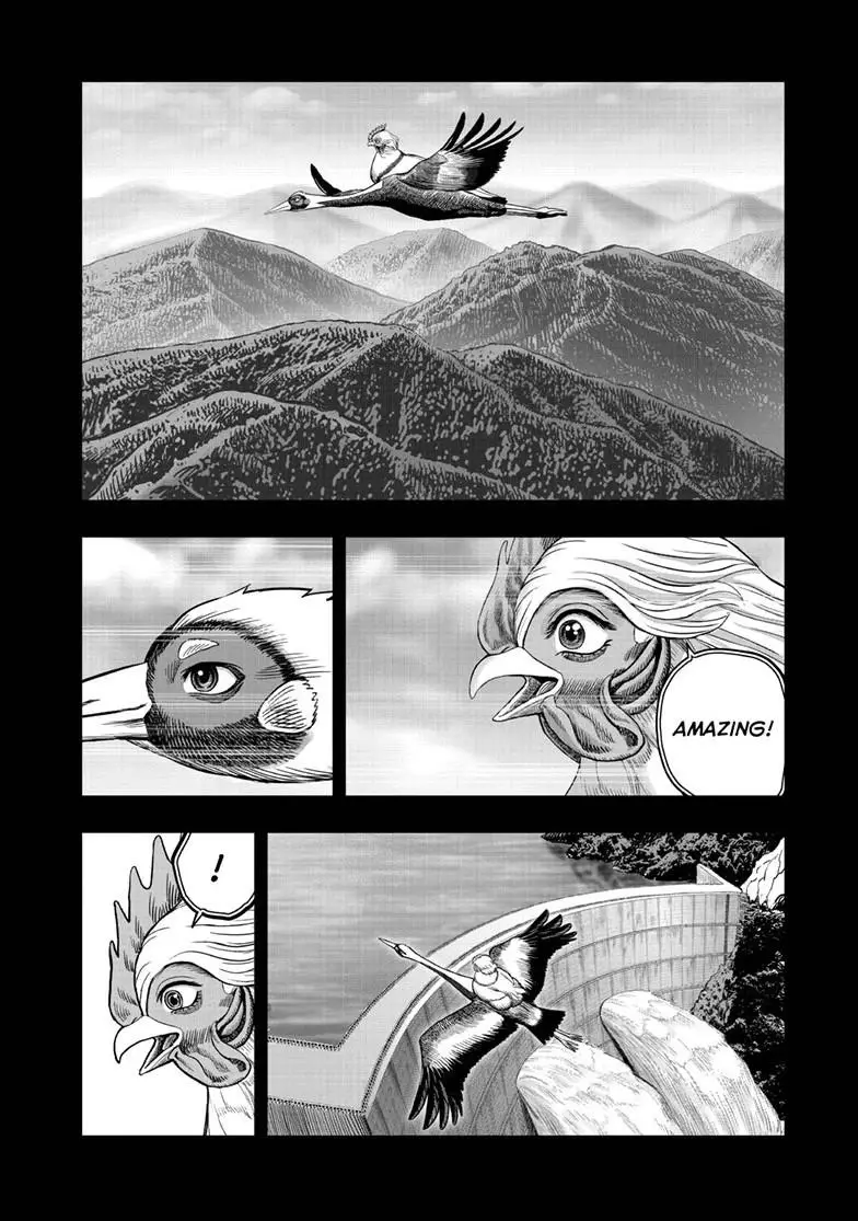 Read Rooster Fighter EN Manga Online