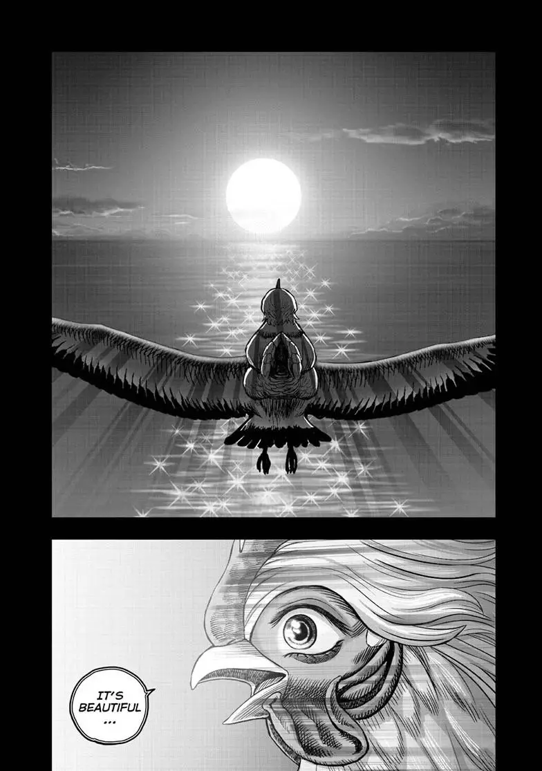 Read Rooster Fighter EN Manga Online