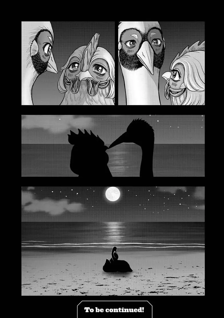 Read Rooster Fighter EN Manga Online