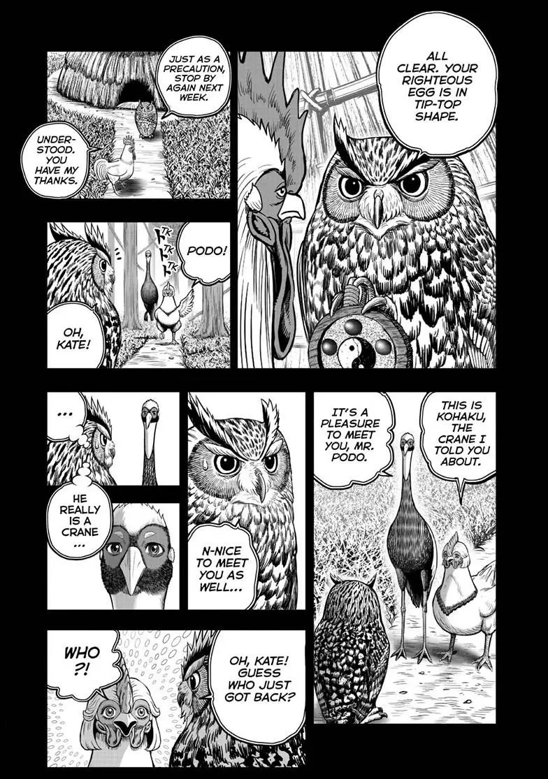 Read Rooster Fighter EN Manga Online