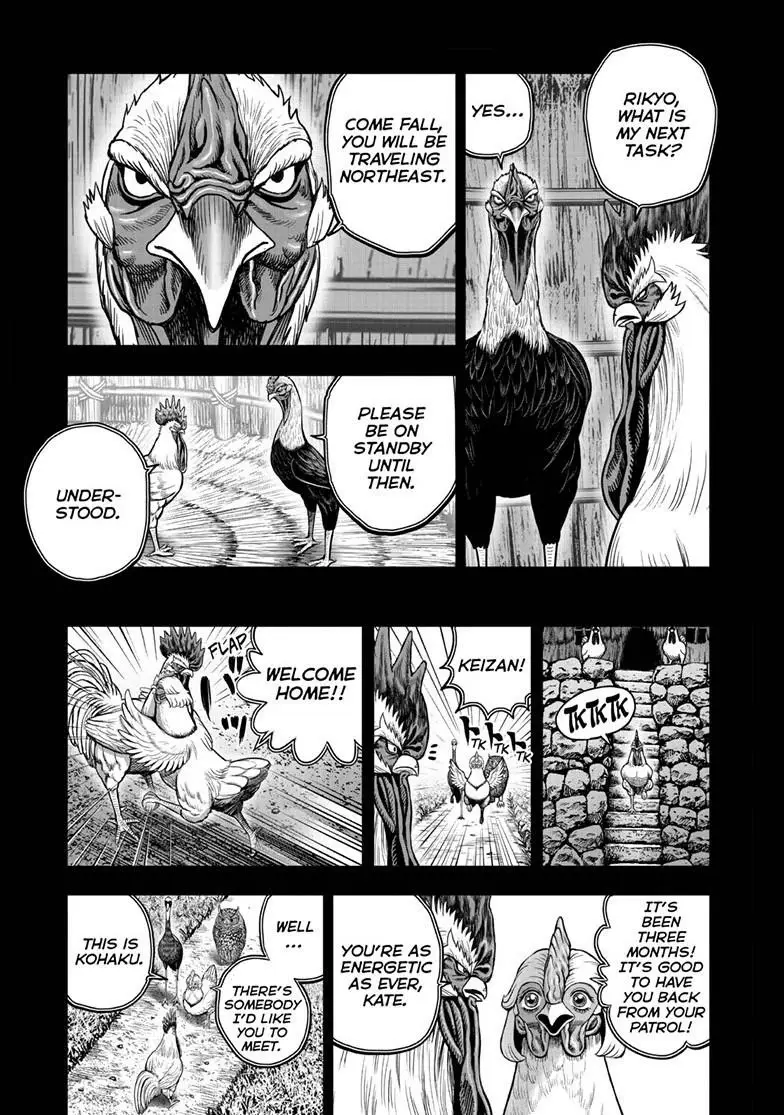 Read Rooster Fighter EN Manga Online