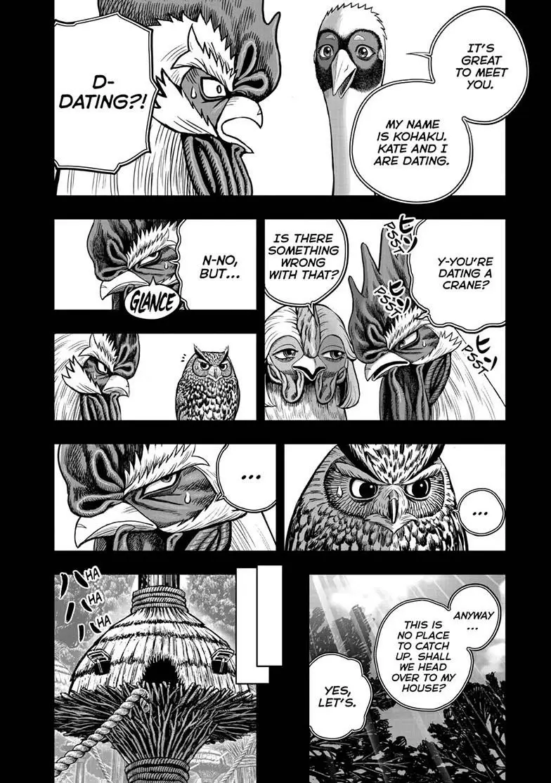 Read Rooster Fighter EN Manga Online