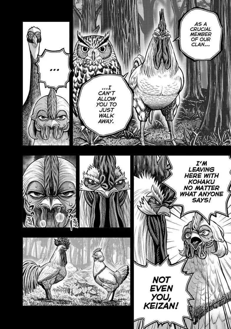 Read Rooster Fighter EN Manga Online