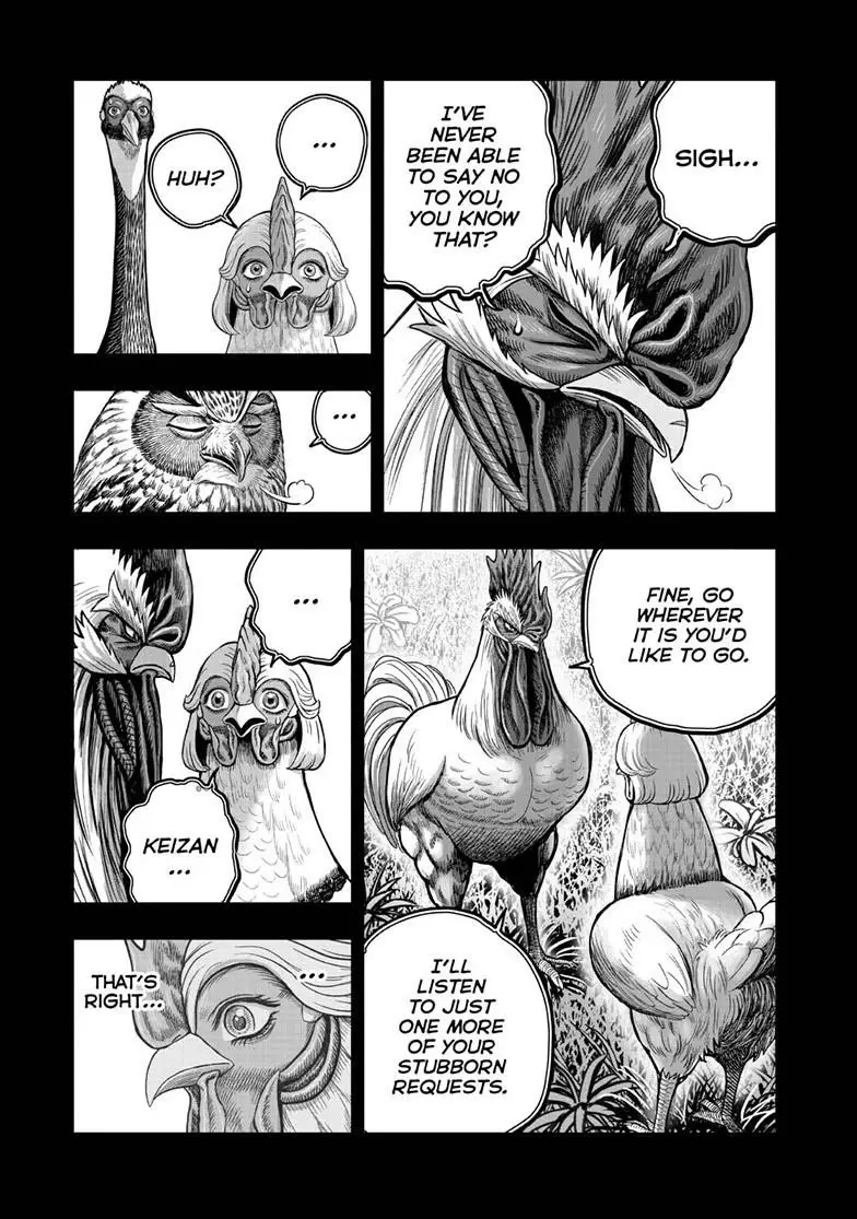 Read Rooster Fighter EN Manga Online