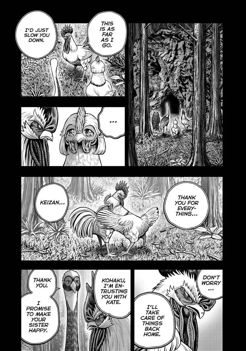 Read Rooster Fighter EN Manga Online