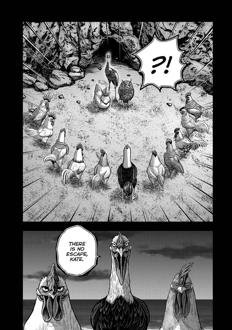 Read Rooster Fighter EN Manga Online