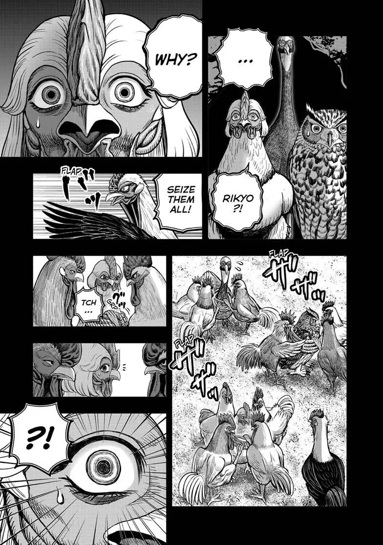Read Rooster Fighter EN Manga Online