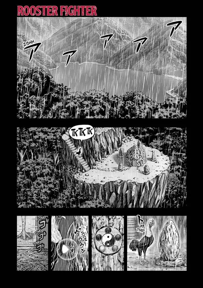 Read Rooster Fighter EN Manga Online