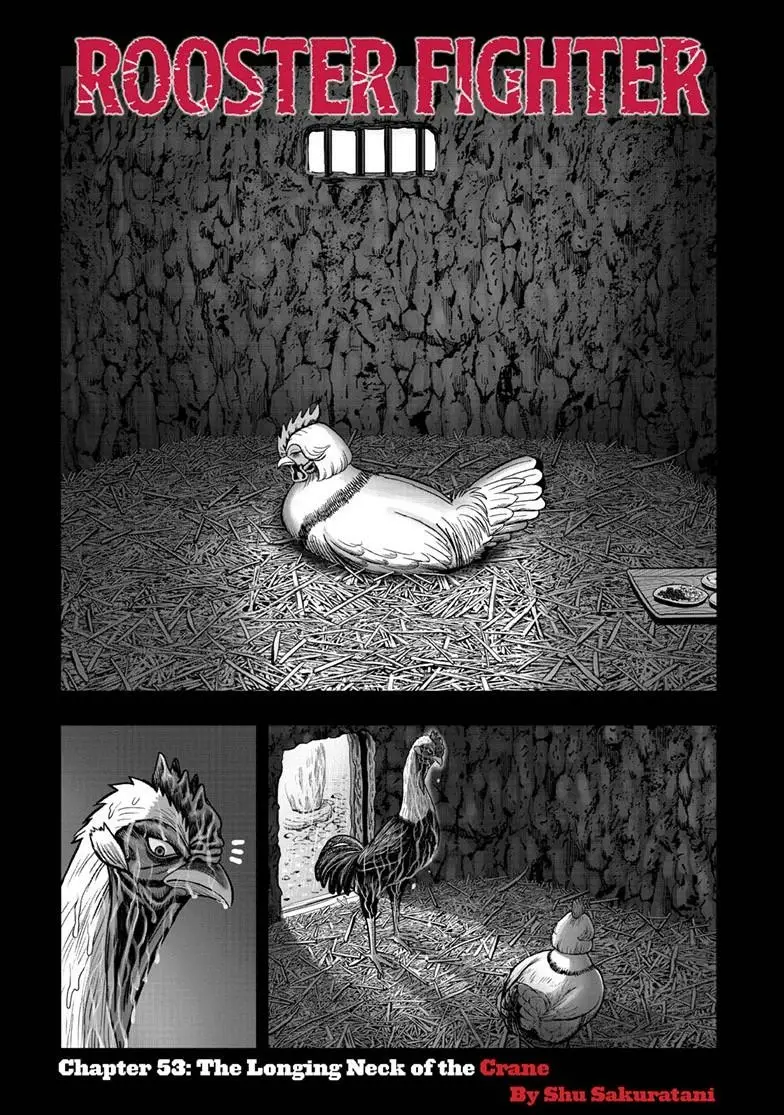 Read Rooster Fighter EN Manga Online