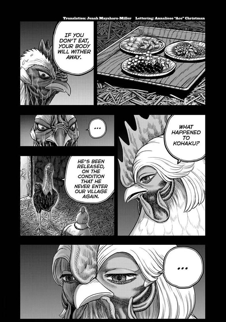 Read Rooster Fighter EN Manga Online