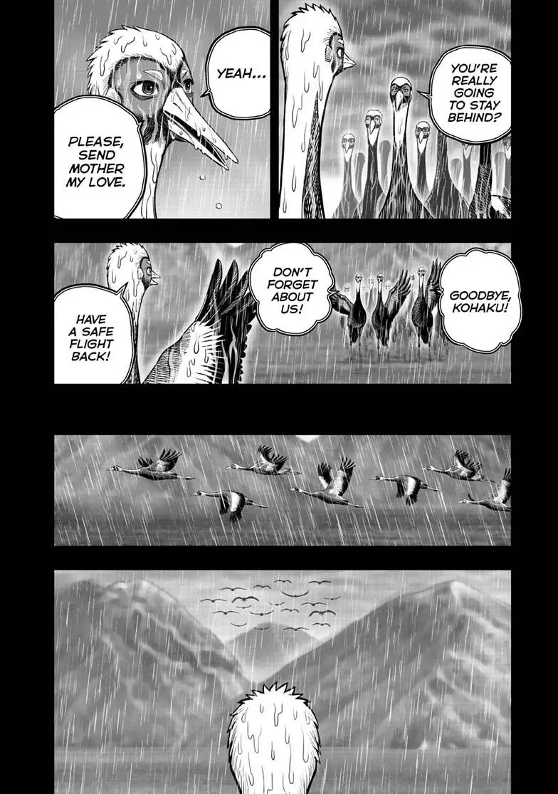 Read Rooster Fighter EN Manga Online