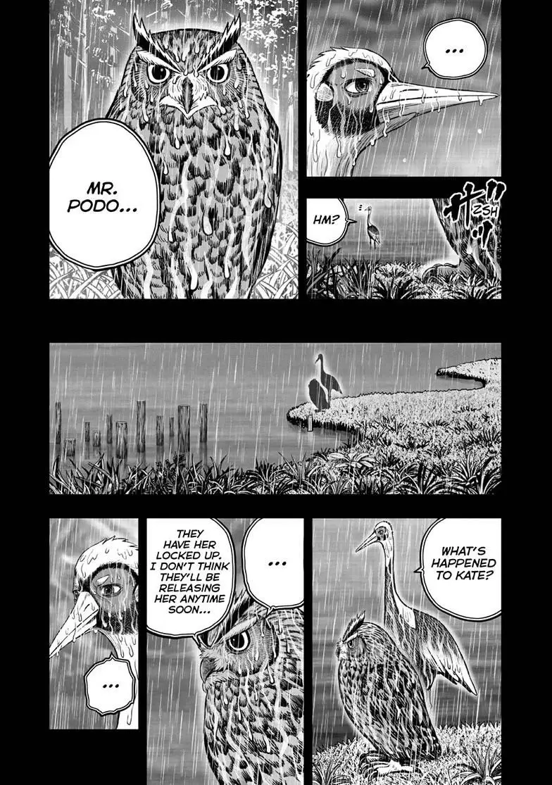 Read Rooster Fighter EN Manga Online