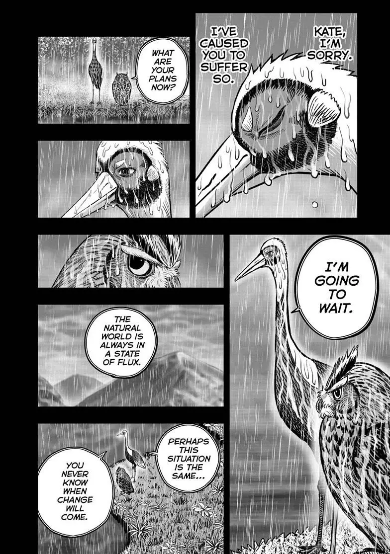 Read Rooster Fighter EN Manga Online