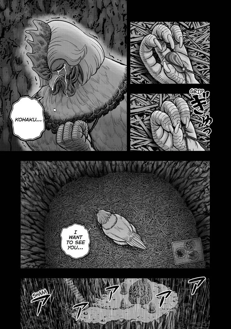Read Rooster Fighter EN Manga Online