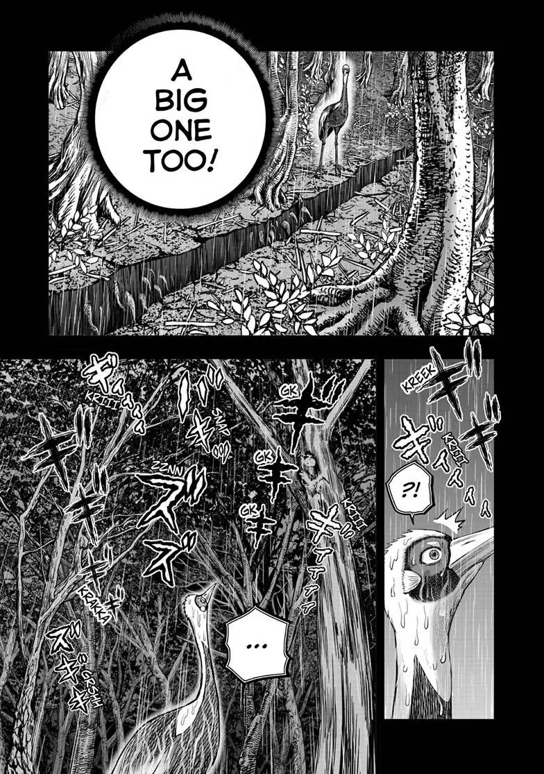 Read Rooster Fighter EN Manga Online