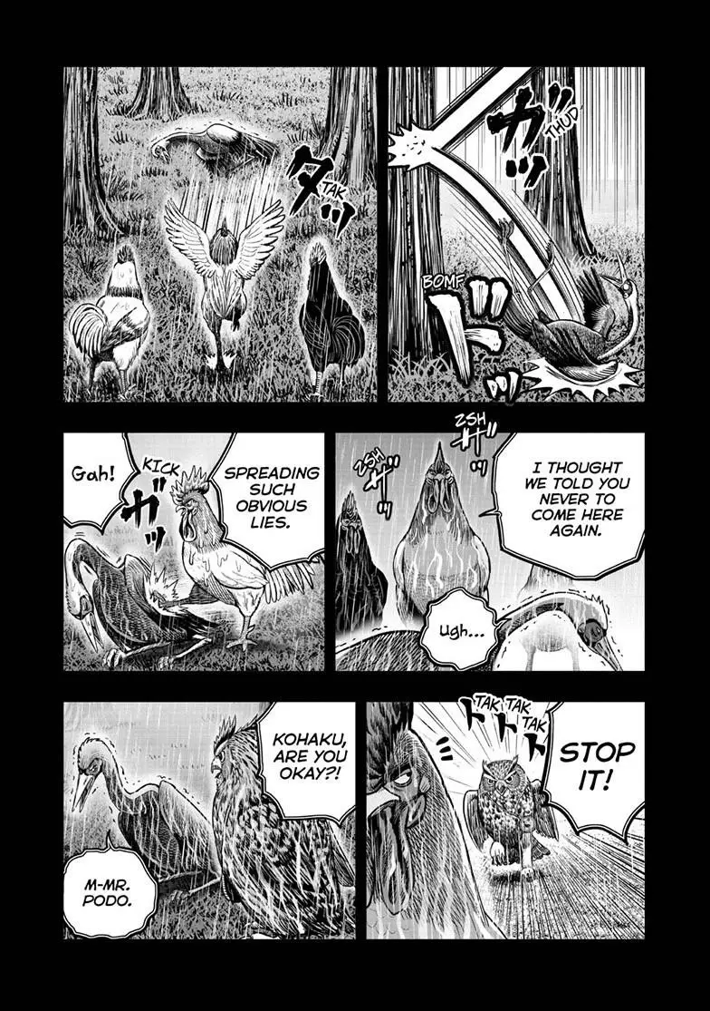Read Rooster Fighter EN Manga Online