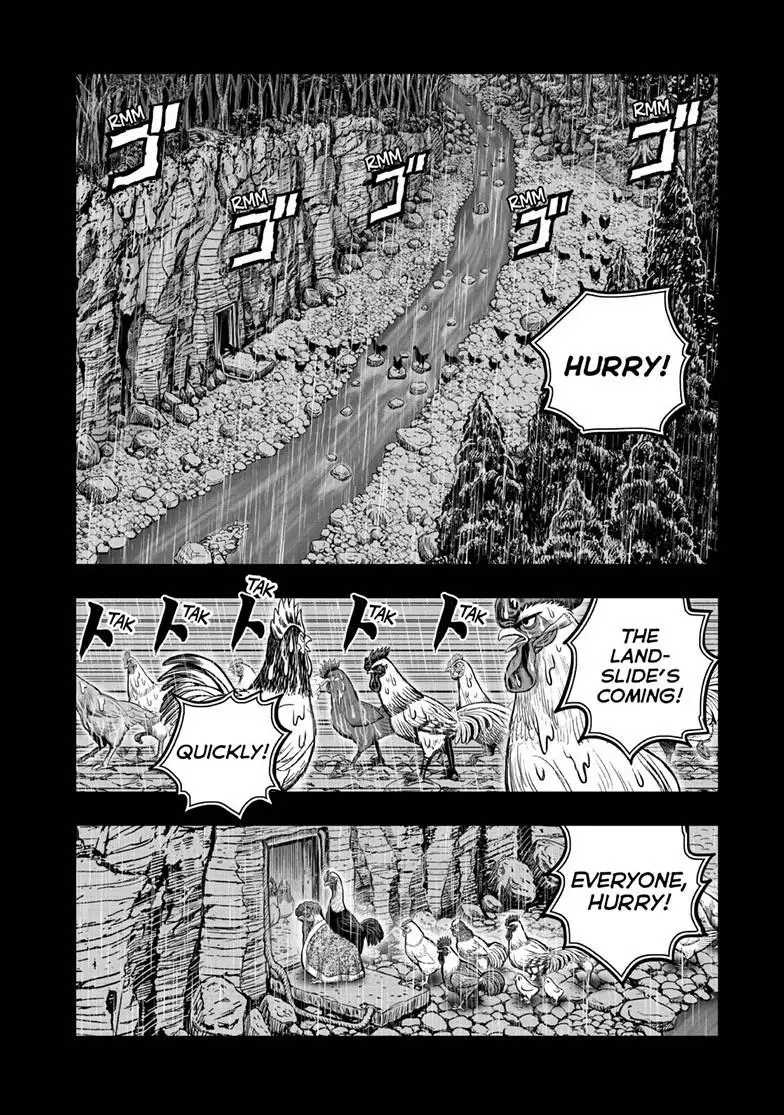 Read Rooster Fighter EN Manga Online