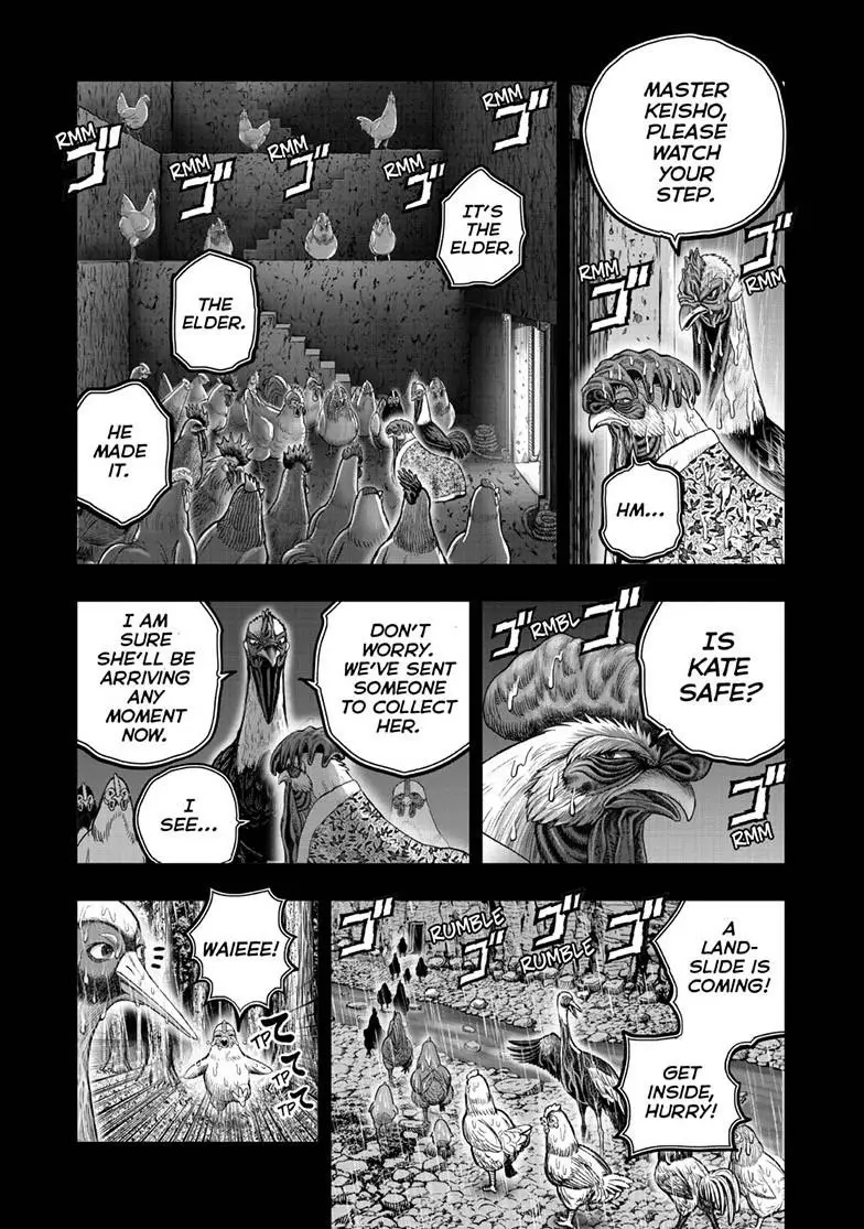 Read Rooster Fighter EN Manga Online