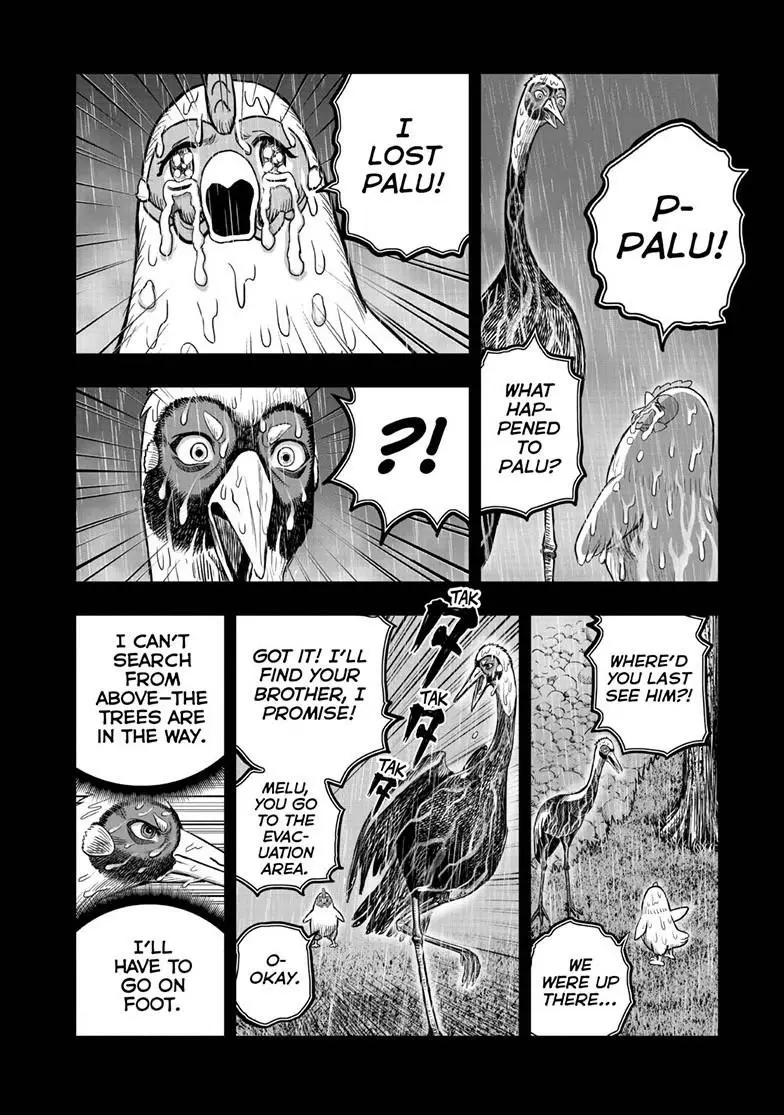Read Rooster Fighter EN Manga Online