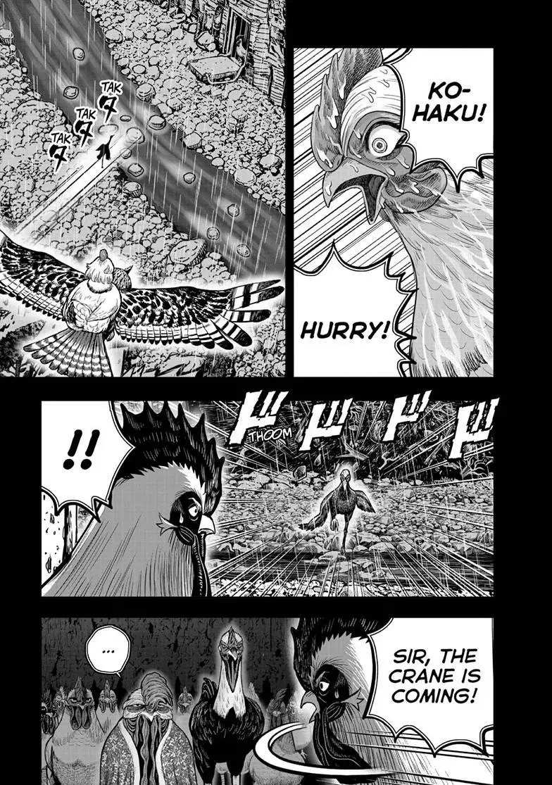 Read Rooster Fighter EN Manga Online