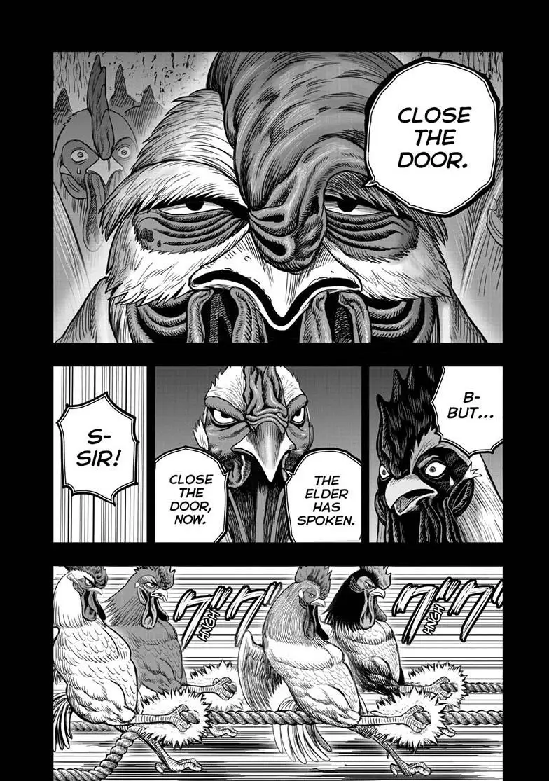 Read Rooster Fighter EN Manga Online