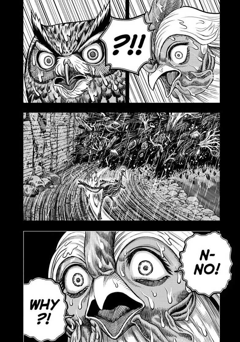 Read Rooster Fighter EN Manga Online